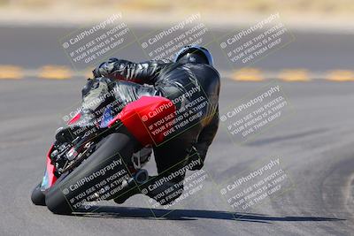 media/Oct-08-2022-SoCal Trackdays (Sat) [[1fc3beec89]]/Turn 11 Backside (1145am)/